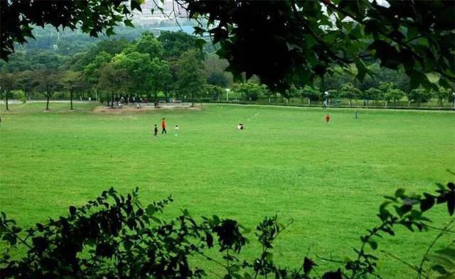 来到中山一定要到的公园,紫马岭公园,值得一游!记得关注哟!