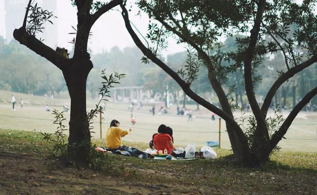 来到中山一定要到的公园,紫马岭公园,值得一游!记得关注哟!