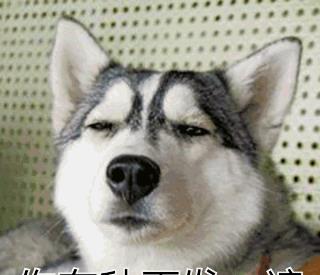 游戏王之浮屠,当下游戏王中最强的7部卡组,现冥排第二