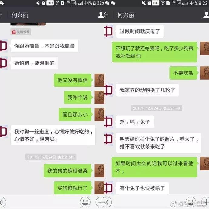 何兴丽事件-柯基走失,找到时却被扔下6楼