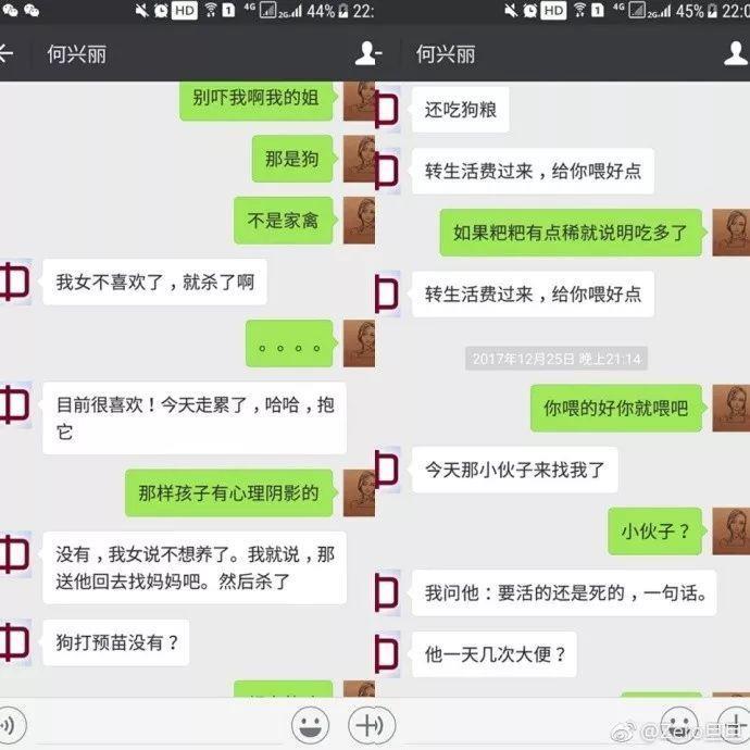 何兴丽事件-柯基走失,找到时却被扔下6楼