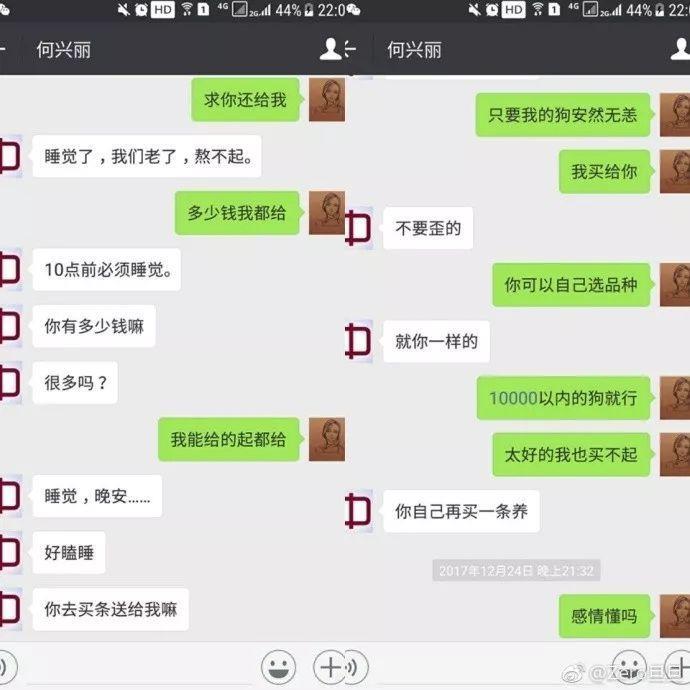 何兴丽事件-柯基走失,找到时却被扔下6楼
