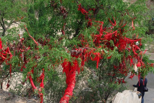 河南最傻道教圣地:不要门票,斋饭免费!寻仙问道超灵验!香火旺