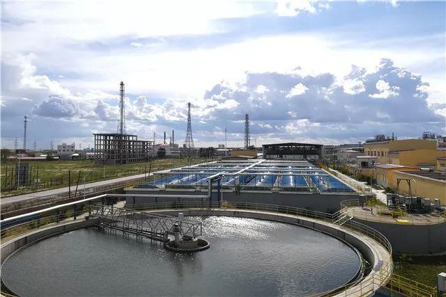 这首抖音神曲，有家石化企业说是为他们量身定制的！