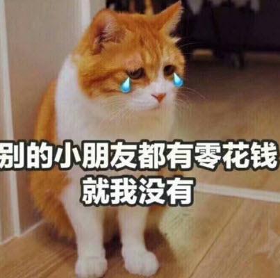 搞笑图片：找妈妈讨生活费表情包｜妈，我没钱了