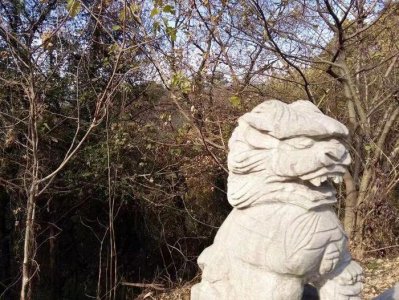 ​土匪头子烧了山神庙，第二天就被一个乞丐打下了悬崖