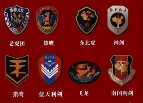 中国神秘部队惊现叙利亚!战斗力爆棚,连美军都敬畏三分