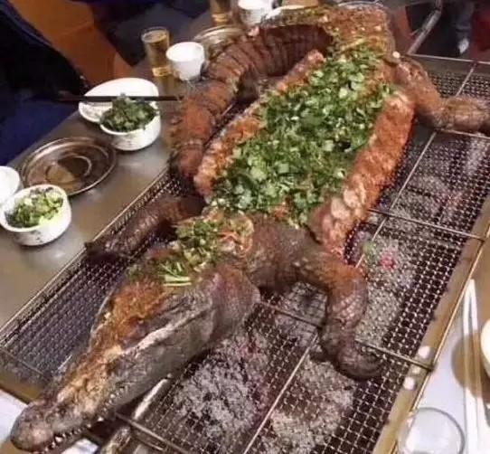 中国人还有什么不敢吃的,烤鳄鱼现在都烂大街了!味道居然蛮好的