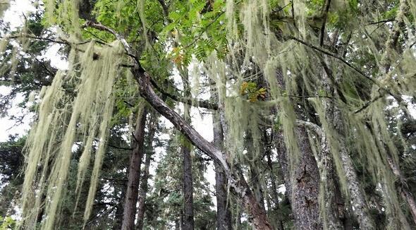 绝美的香格里,仙境般的拉普达措属都湖,一个充满诗意的地方