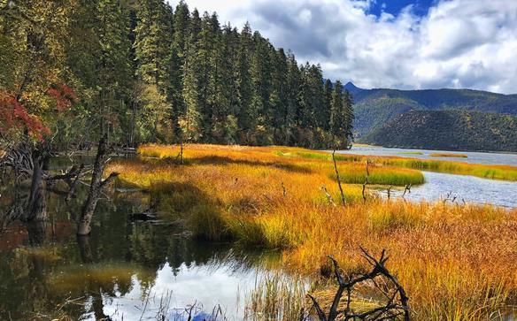 绝美的香格里,仙境般的拉普达措属都湖,一个充满诗意的地方