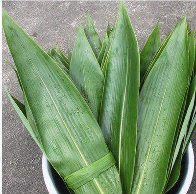 路边一种野草,叶子像竹叶,但价值颇高,见到请珍惜