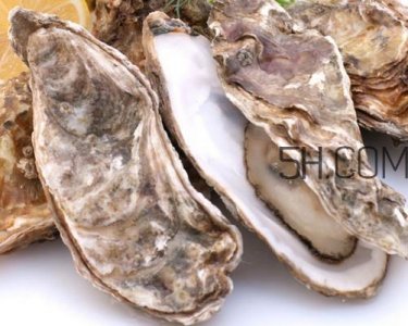 ​海蛎子怎么保存？海蛎子怎么挑选