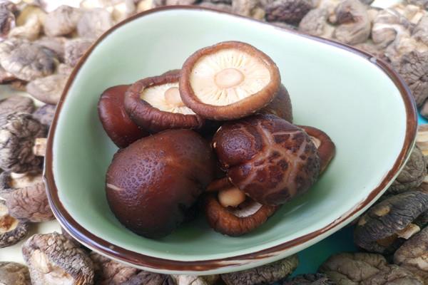 香菇会不会上火 香菇会不会过敏 香菇会不会上火 香菇会不会过敏