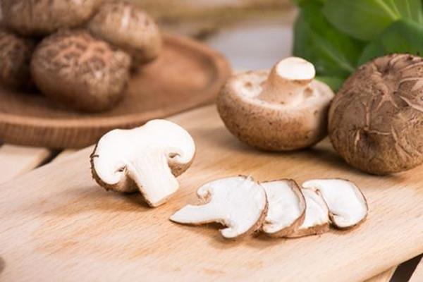 香菇会不会上火 香菇会不会过敏 香菇会不会上火 香菇会不会过敏