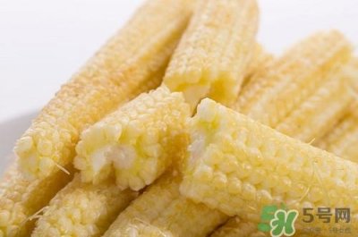 ​玉米笋是转基因吗?玉米笋的营养价值