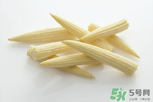 玉米笋是转基因吗?玉米笋的营养价值 玉米笋是转基因吗?玉米笋的营养价值