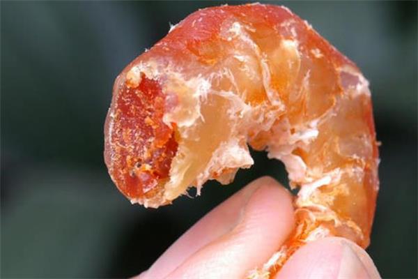 干虾仁怎么泡 干虾仁怎么吃