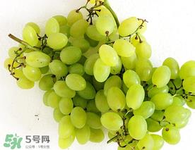 青提什么时候成熟?青提什么时候上市? 青提什么时候成熟?青提什么时候上市?