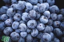 蓝莓可以空腹吃吗?空腹吃蓝莓好吗