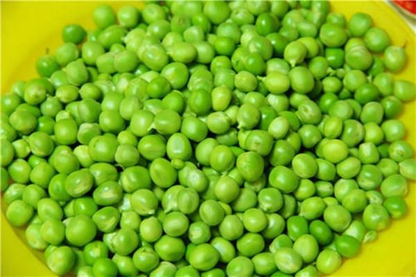 豌豆炖排骨怎么做好吃 豌豆炖排骨有什么营养 