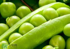 豌豆能放在冰箱吗?豌豆放冰箱怎么保存? 豌豆能放在冰箱吗?豌豆放冰箱怎么保存?