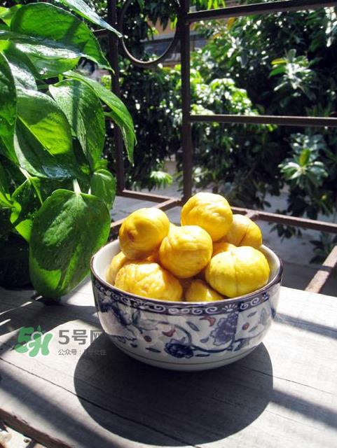 板栗吃多了会放屁吗？板栗吃多了胃胀怎么办？