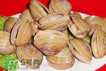 蚬子是蛤蜊吗？蚬子和文蛤怎样区别