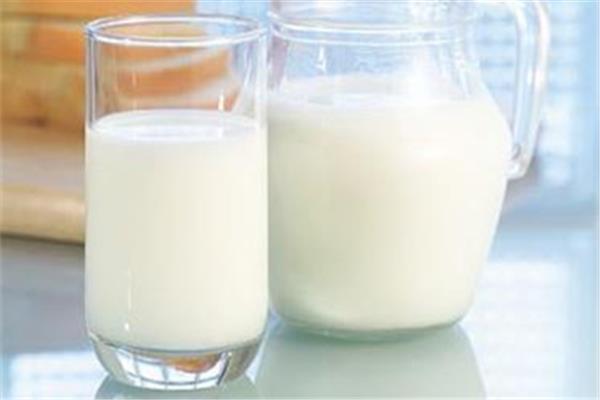 牛奶是脱脂的好还是全脂的好 牛奶减肥期间可以喝吗