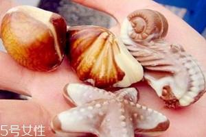 贝壳巧克力是什么牌子 贝壳巧克力品牌 贝壳巧克力是什么牌子 贝壳巧克力品牌