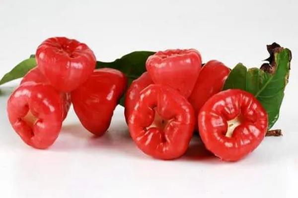 莲雾适合什么人群 吃莲雾的禁忌人群