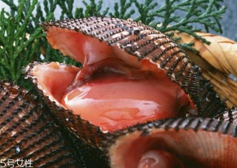 赤贝和毛蚶的区别 赤贝和毛蚶一样吗