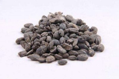 ​什么是淡豆鼓呢 淡豆鼓有什么营养价值呢