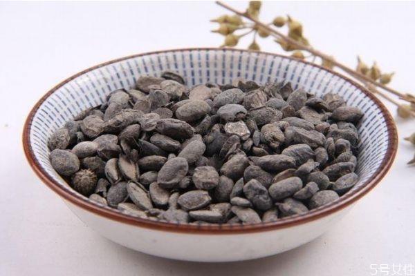 什么是淡豆鼓呢 淡豆鼓有什么营养价值呢 什么是淡豆鼓呢 淡豆鼓有什么营养价值呢