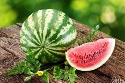 ​夏天吃西瓜能解暑吗 西瓜有解暑的作用吗