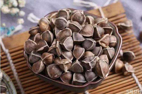 什么是辣木籽 辣木籽有什么好处