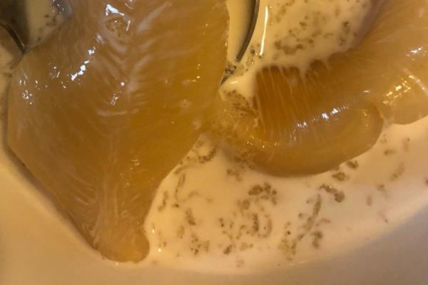 鱼胶会上火吗 性温不上火