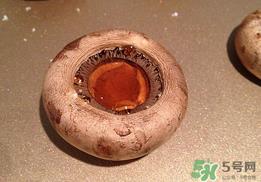 口菇变黑还能吃吗？口菇的营养价值