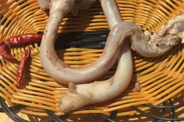 羊鞭炖多长时间能熟 羊鞭和什么一起炖最好