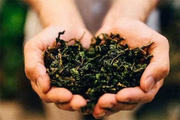 铁观音是碱性还是酸性 要具体分析 铁观音是碱性还是酸性 要具体分析