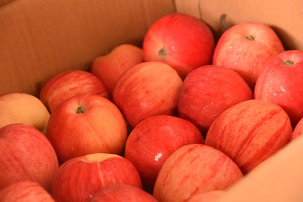 吃煮苹果有什么功效 煮苹果多长时间好 吃煮苹果有什么功效 煮苹果多长时间好