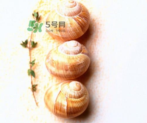 田螺是寒性的吗？田螺煮多久杀死寄生虫