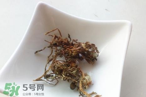 蒲公英泡水喝是用晒干的好还是新鲜的好?