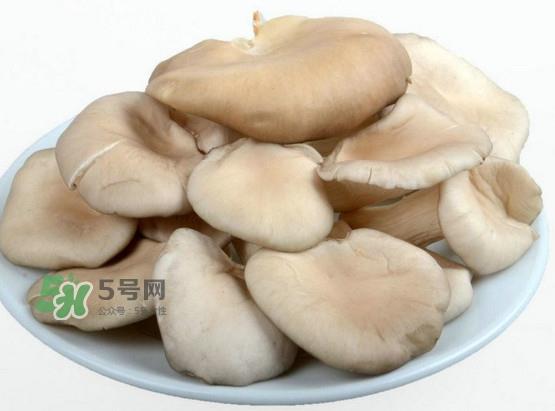 秀珍菇孕妇可以吃吗?孕妇能吃秀珍菇吗 秀珍菇孕妇可以吃吗?孕妇能吃秀珍菇吗