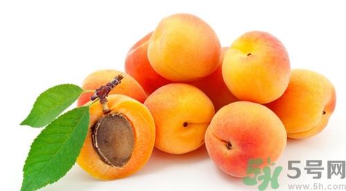 杏子可以泡水喝吗?杏子泡水的功效预作用 杏子可以泡水喝吗?杏子泡水的功效预作用