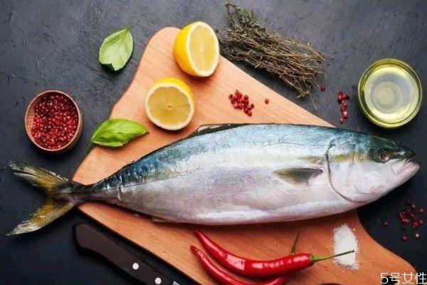 吃金枪鱼有什么注意的吗 孕妇可以吃金枪鱼吗