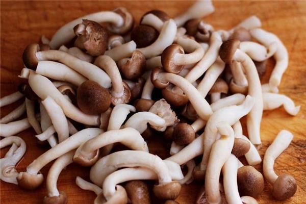 蟹味菇是发物吗 可以放心食用