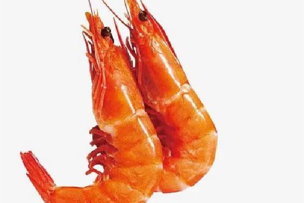 基围虾不处理可以直接煮吗 基围虾煮要放什么去腥 基围虾不处理可以直接煮吗 基围虾煮要放什么去腥