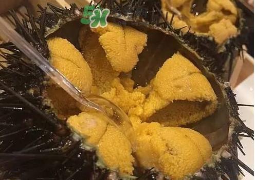 冷冻海胆黄化了能吃吗？海胆吃多了会怎样