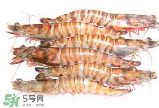 九节虾是海虾吗？九节虾是海虾还是河虾