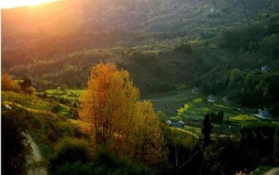 ​31路公交车路线详解31路公交车的行驶路线和站点